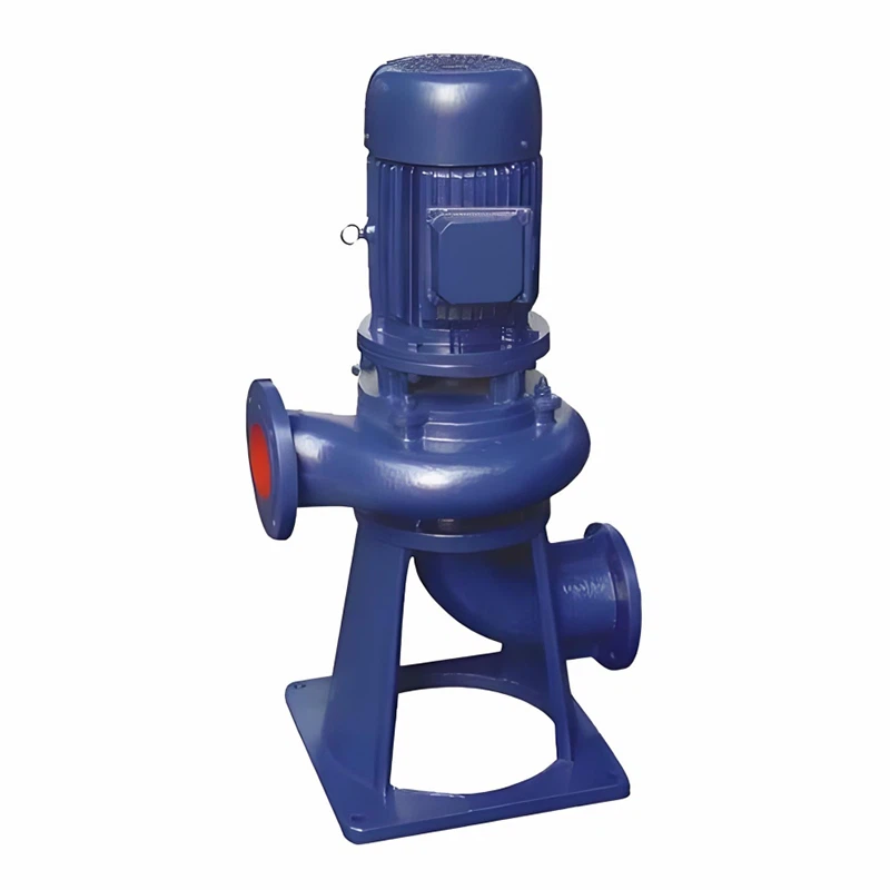 Dry Sewage Pump